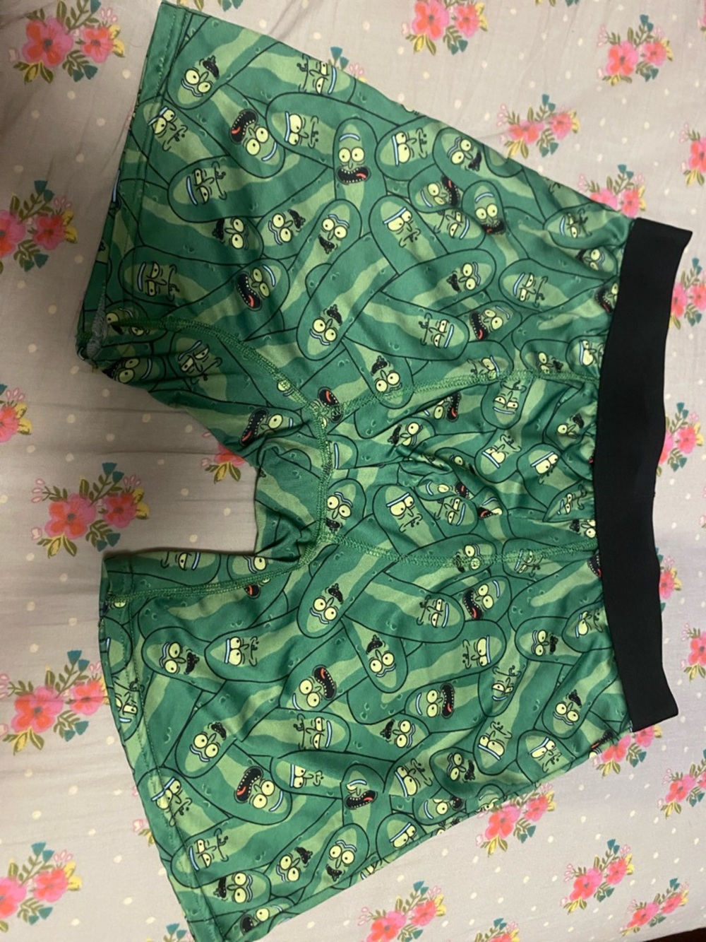 Large Pickle Rick Print Boxers